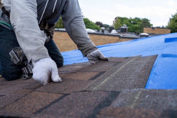 Best Roof Leak Repair  in Hilton, NY