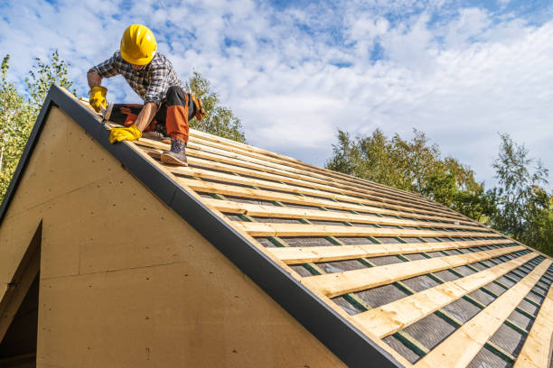 Best Roof Gutter Cleaning  in Hilton, NY